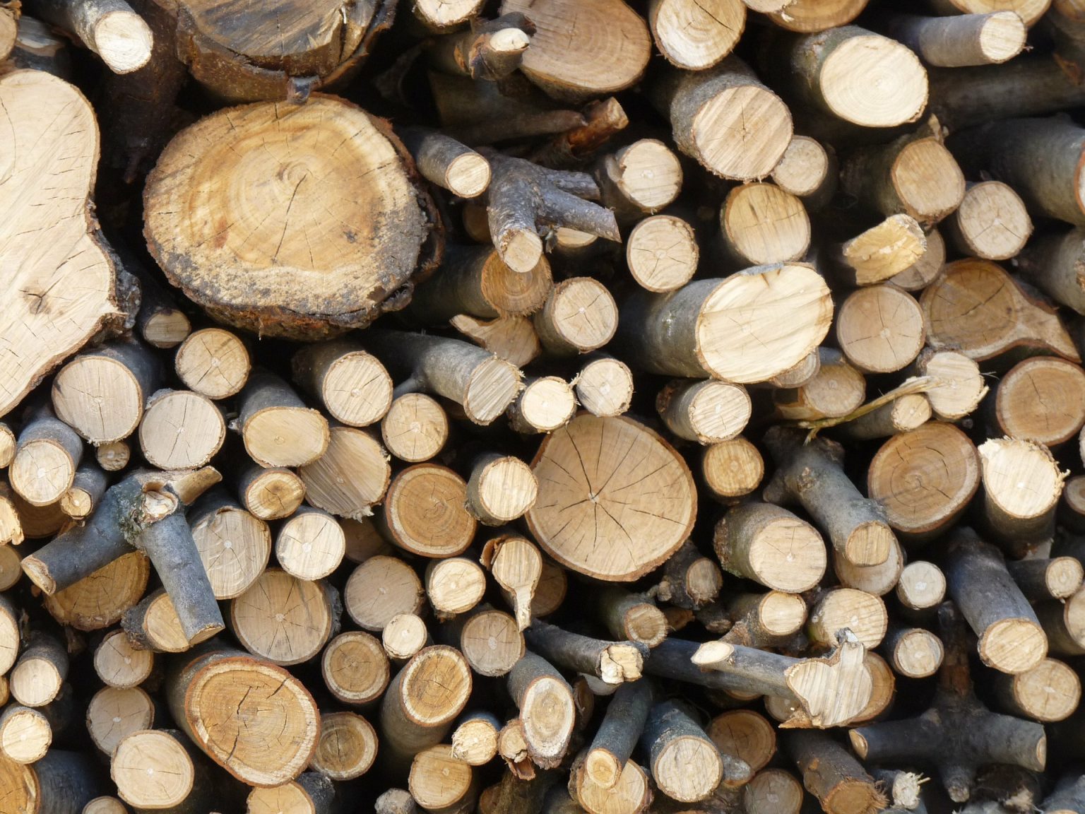 FUEL / FIREWOOD SUPPLIERS Evergreen Home & Hearth