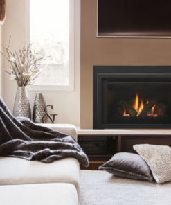 Heat & Glo Provident Gas Fireplace Insert
