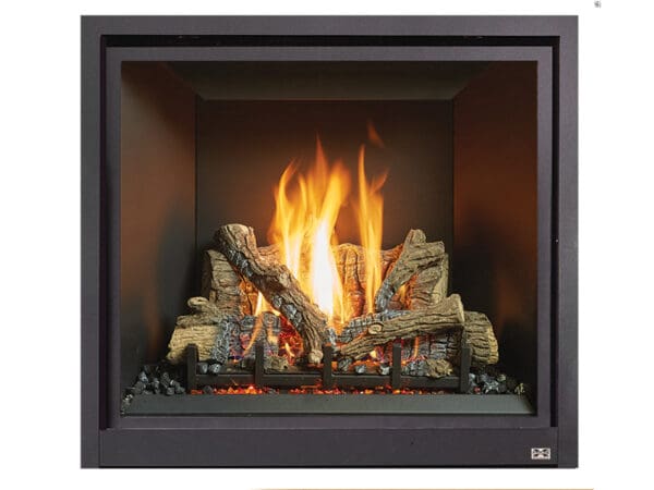 FPX PROBUILDER 36 CLEAN FACE BASIC – MV
