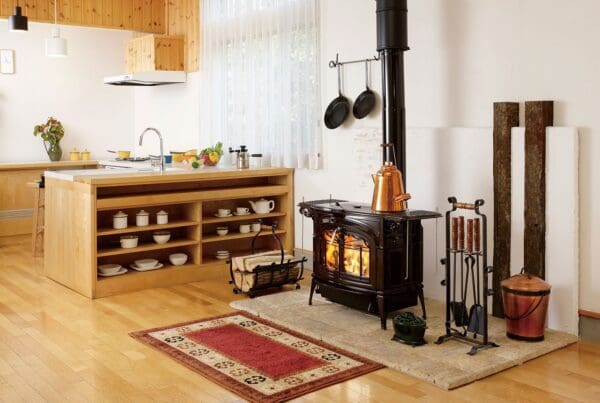 Vermont Castings Encore Wood Burning Stove