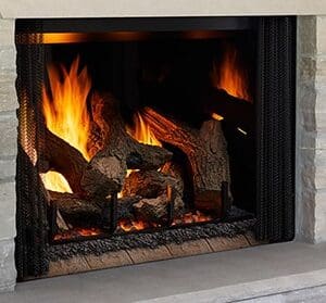 PHOENIX TRUEVIEW GAS FIREPLACE