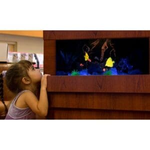 Dimplex Opti-V Built-in Aquarium