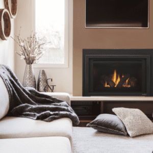 Heat & Glo Provident Gas Fireplace Insert